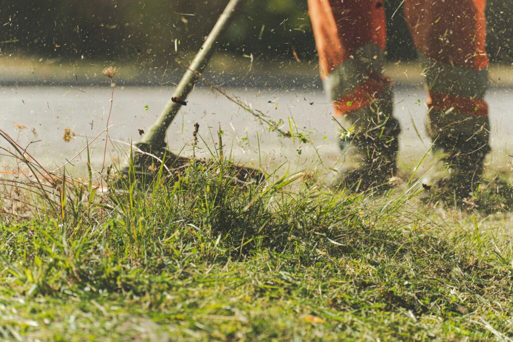 String trimmer edging grass