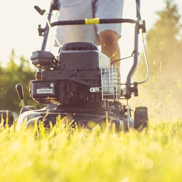 Close-up of a person mowing a sunlit lawn with a push mower, showcasing summertime yard care.